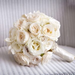 Éclat de Pivoine