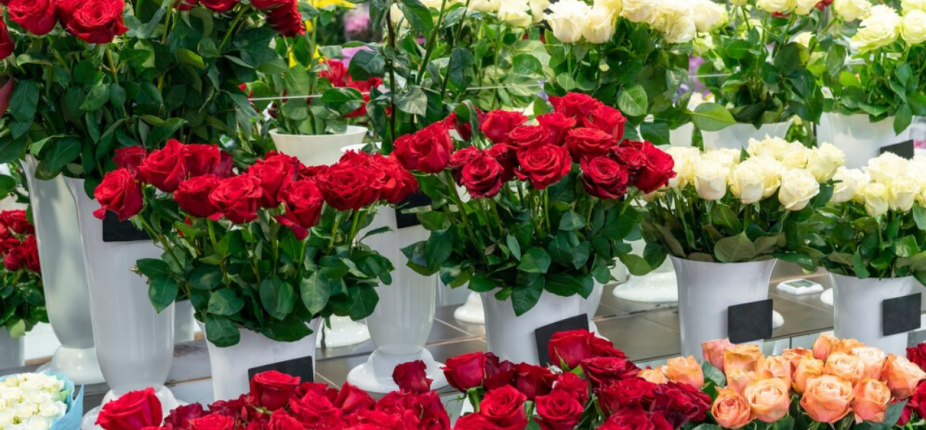 Marrakech Fleurs : Le Fleuriste Pas Cher pour des Bouquets Éblouissants à Marrakech