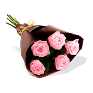 The 5 - rose