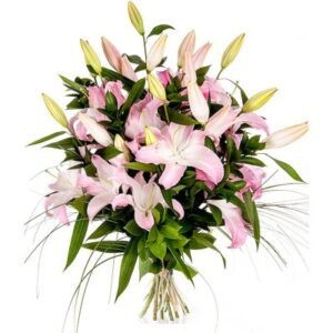 Lys roses tendresse