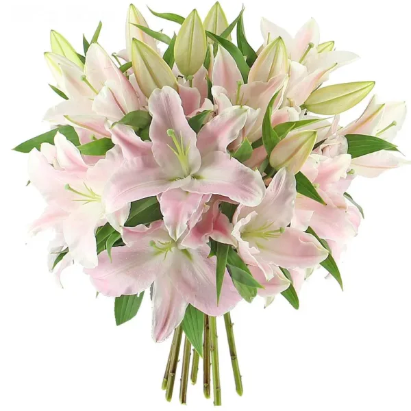 bouquet lys roses claires
