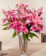 bouquet-de-lys-roses-123fleurs-livraison-aujourd-hui-430x430-56505