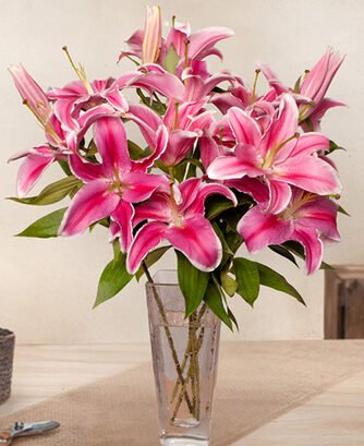 bouquet-de-lys-roses-123fleurs-livraison-aujourd-hui-430x430-56505